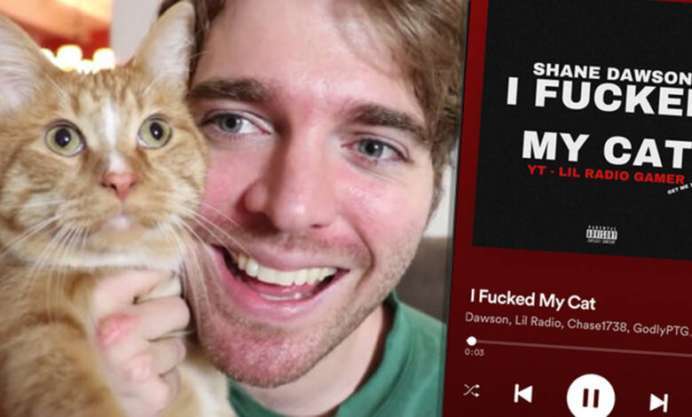 what did shane dawson do