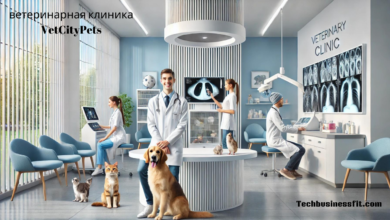 ветеринарная клиника VetCityPets